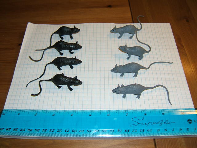 Plastic Rats